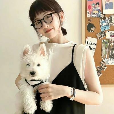 天网狼蛛